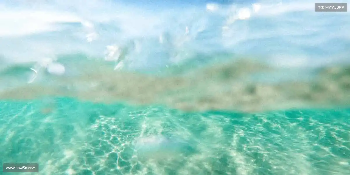 <strong>星空综合</strong>在这里，每一个身影都值得被喝彩！👏